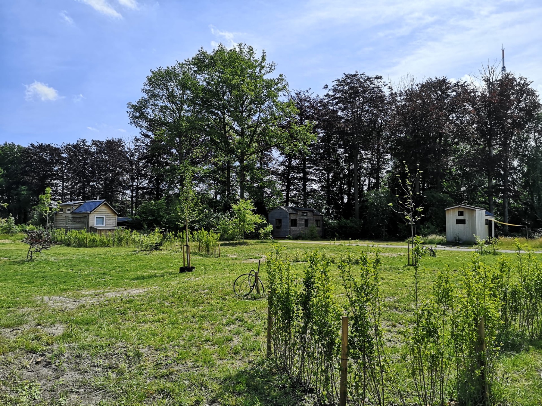 Natuurbeeld van Dennenbad 2