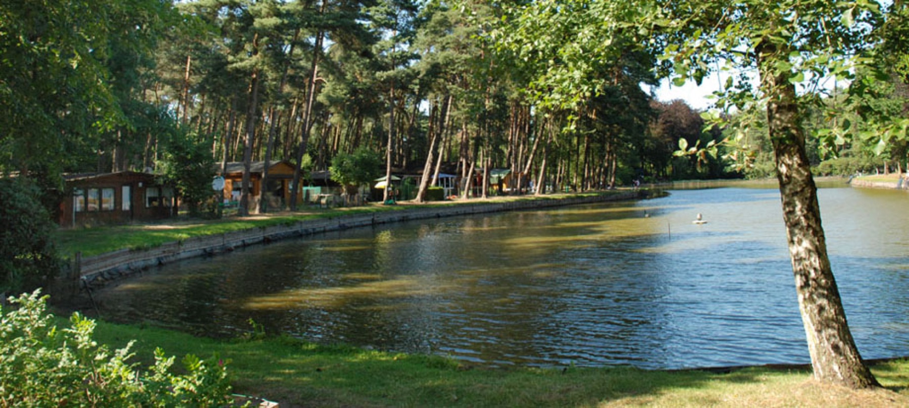 Dennenbad